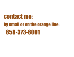 contact me:
by email or on the orange line:
858-373-8001 david@joesonthenose.com